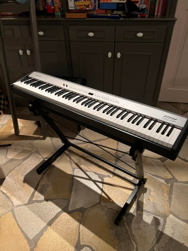 Roland Digitale Piano PF2- met goede flight case, Muziek en Instrumenten, Ophalen of Verzenden, Gebruikt, Zwart