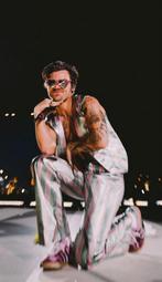 Staanplaatsen Harry Styles 4 juni (kostprijs), Twee personen, Juni