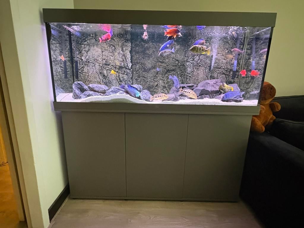 juwel 450, Ophalen of Verzenden, Zo goed als nieuw, Verlichting of Verwarming