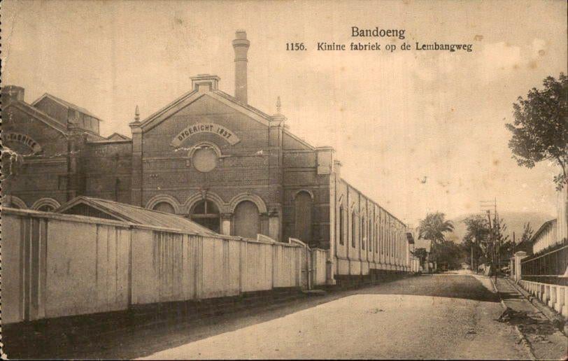 Nederlands Indië - Bandoeng - Kinine fabriek - 1925, Verzamelen, Verzenden, 1920 tot 1940, Gelopen