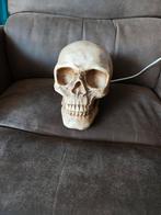 Schedel Lamp - Unieke Sfeerverlichting, Ophalen of Verzenden, Zo goed als nieuw, Gothic, Halloween, Uniek, Alternatief