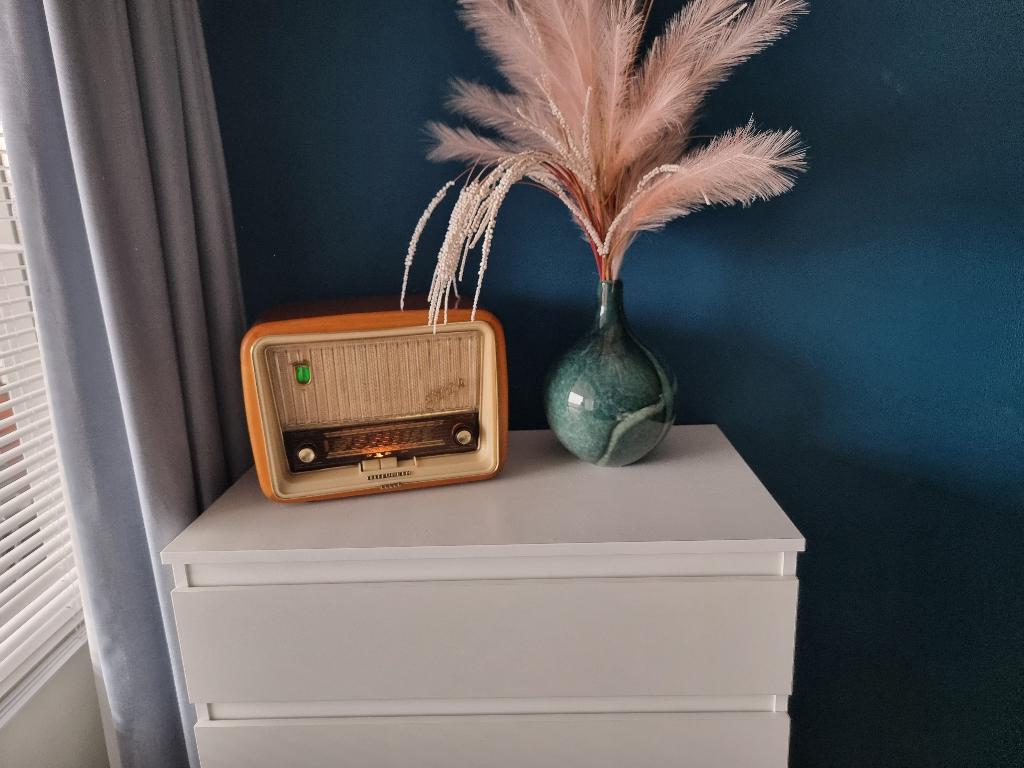 Telefunken Jubilate S  optie Bluetooth, Antiek en Kunst, Ophalen of Verzenden