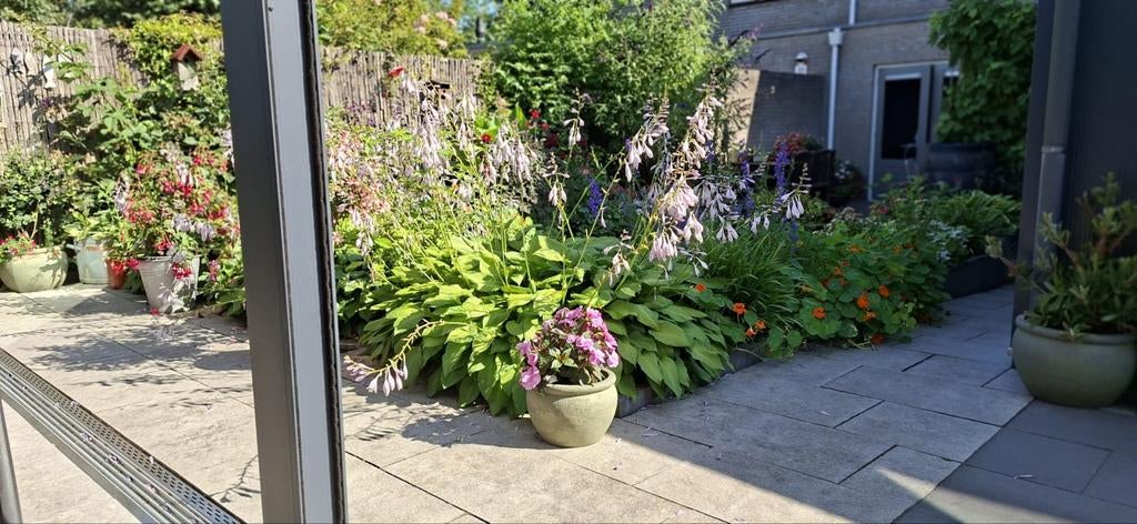 Goed onderhouden deurkozijn met dubbeldeuren en dubbelglas, Ophalen, Buitendeur, Hout, 120 cm of meer