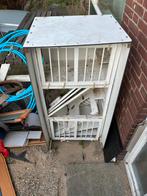 Duivenhok van trespa, Meerdere dieren, Postduif