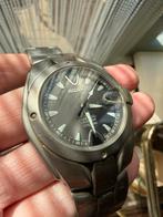 Seiko Titanium Perpetual Calendar, Sieraden, Tassen en Uiterlijk, Horloges | Heren, Gebruikt, Verzenden, Polshorloge, Overige materialen