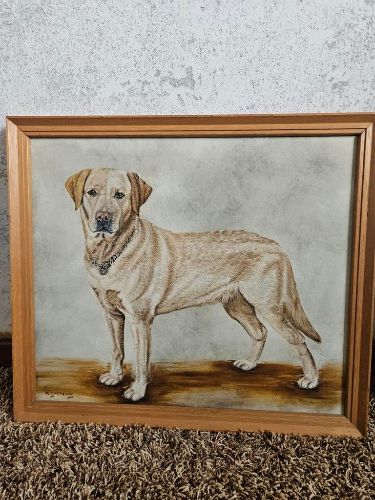Schilderij Labrador door M. Gunneweg, Antiek en Kunst, Kunst | Schilderijen | Klassiek, Ophalen of Verzenden