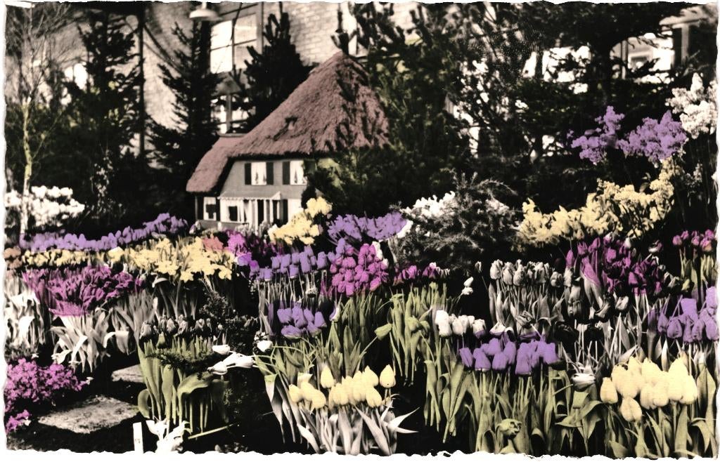 914499 Bovenkarspel NH 1958 West Friese Flora Gelopen, Verzamelen, Ansichtkaarten | Nederland, Ophalen of Verzenden, 1940 tot 1960