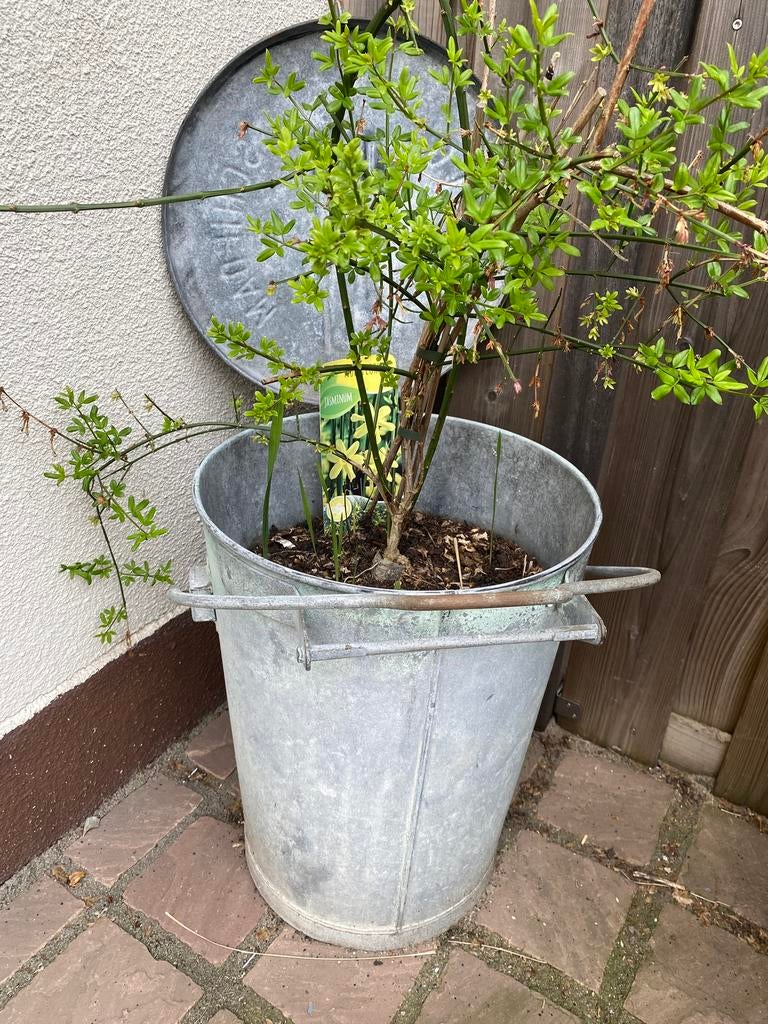 Zinken vuilnisemmer, Tuin en Terras, Bloembakken en Plantenbakken, Ophalen, Minder dan 30 cm, Rond, Zo goed als nieuw