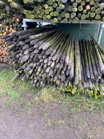 Boompalen 250cm, Ophalen, Zo goed als nieuw, 250 cm of meer, Palen