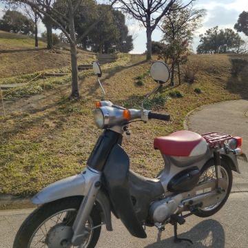 Honda Little Cub zadel c50 (ss50 benly dax monkey), Motoren, Onderdelen | Honda, Nieuw, Verzenden