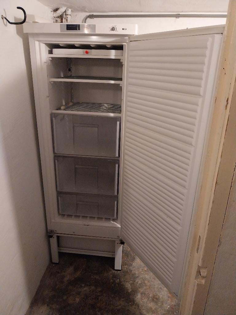 Diepvrieskast (kleur: wit), Witgoed en Apparatuur, 120 tot 140 cm, Zo goed als nieuw, Ophalen, Vrieskast