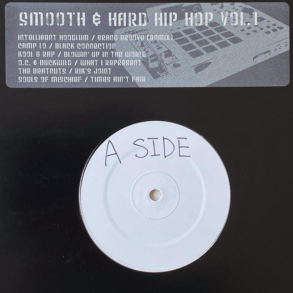 Smooth & Hard Hip Hop Vol. 1 (Camp Lo, Intelligent Hoodlum), Ophalen of Verzenden, 1985 tot 2000