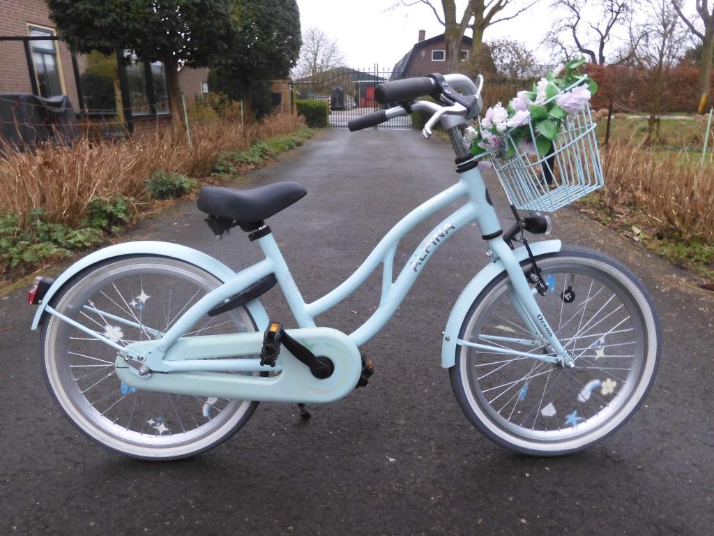 Supermooie 20 inch Alpina Ocean met mandje voor, Alpina, Niet ingevuld, Zo goed als nieuw, 20 inch