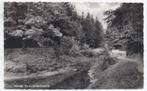 Rijssen Vijver Schwarzwald Oude Ansichtkaart ( B1480 ), Ophalen of Verzenden, 1960 tot 1980, Gelopen