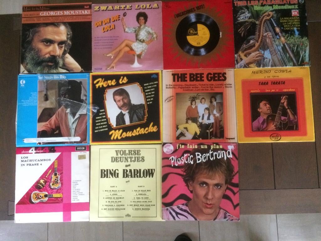 Vinyl lp, allerlei: Plastic Bertrand, The Bee Gees, Zwarte L, Ophalen, Gebruikt, Overige formaten, Overige genres