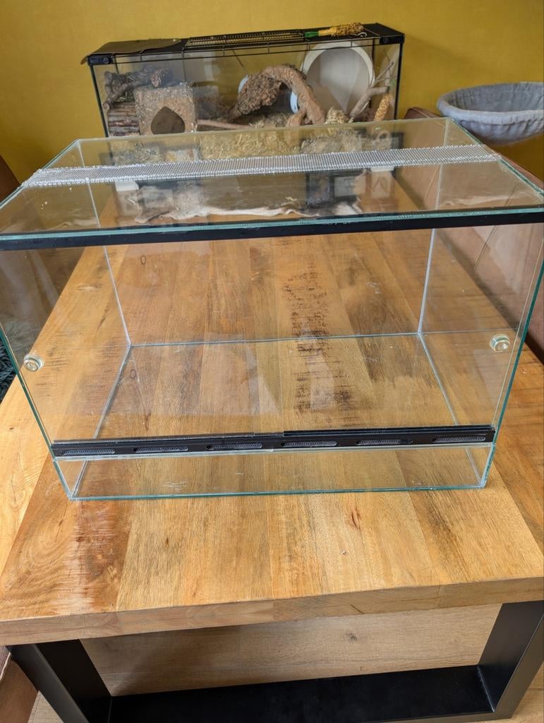 Terrarium 60x40x40, Dieren en Toebehoren, Reptielen en Amfibieën | Toebehoren, Ophalen