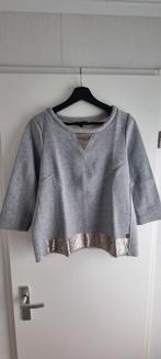 Sweater van Didi, Pretty Different, Maat S, Ophalen of Verzenden, Zo goed als nieuw, Maat 38/40 (M), Grijs