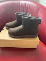 UGG donkerbruine leren laarsjes mt 39 NIEUW, Kleding | Dames, Schoenen, UGG, Bruin, Lage of Enkellaarzen, Ophalen of Verzenden