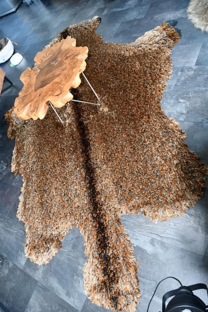 Vloerkleed Roderick Vos Bizon, Huis en Inrichting, Stoffering | Tapijten en Kleden, Zo goed als nieuw, 200 cm of meer, 200 cm of meer