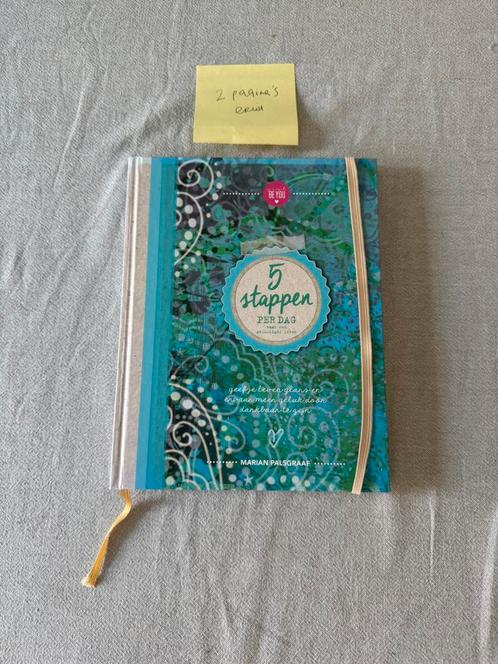 Marian Palsgraaf - 5 stappen per dag, Boeken, Advies, Hulp en Training, Zo goed als nieuw, Verzenden