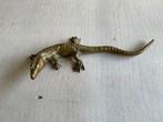Mooie messing hagedis, Antiek en Kunst, Antiek | Koper en Brons, Ophalen of Verzenden