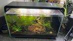 Superfish Home 30 liter, Dieren en Toebehoren, Vissen | Aquaria en Toebehoren, Ophalen of Verzenden, Zo goed als nieuw, Gevuld zoetwateraquarium