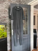 Studio anneloes jumpsuit krijtstreep grijs maat L, Kleding | Dames, Jumpsuits, Ophalen of Verzenden, Zo goed als nieuw, Maat 38/40 (M)