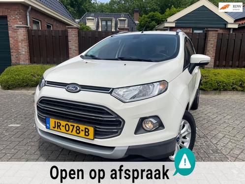 Ford EcoSport 1.0 EcoBoost Titanium 125PK TREKHAAK NAVI PDC, Auto's, Ford, Bedrijf, Te koop, Ecosport, ABS, Airbags, Airconditioning