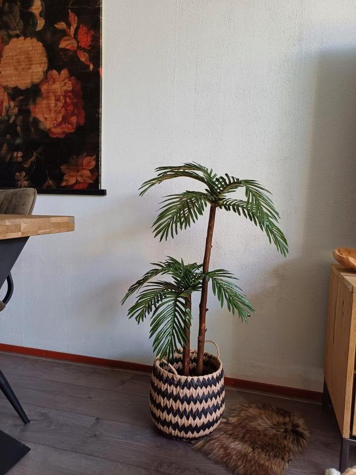 Kunst palmboom nieuw 90 cm, Huis en Inrichting, Woonaccessoires | Kunstplanten en Kunstbloemen, Nieuw, Binnen, Buiten, Ophalen of Verzenden