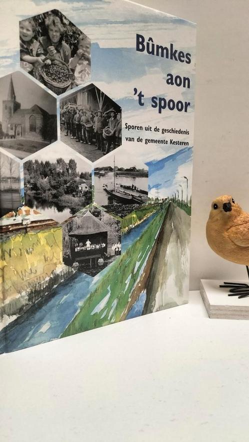 Roodbeen; R.; Bumkes aon ‘t spoor, Boeken, Geschiedenis | Stad en Regio, Gelezen, 20e eeuw of later, Ophalen of Verzenden