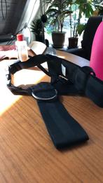 Autotuigje kleine hond, Ophalen of Verzenden, Zo goed als nieuw, Hondenriem-accessoire