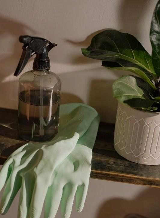 Huishoudhulp aangeboden, Huis en Inrichting, Woonaccessoires | Stolpen, Ophalen