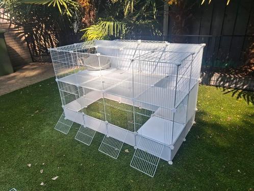 Knaagdierenkooi zelf te creëren, Dieren en Toebehoren, Knaagdieren en Konijnen | Hokken en Kooien, Zo goed als nieuw, Kooi, 110 cm of meer