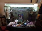 Superfish Aquarium Home 110, Dieren en Toebehoren, Vissen | Aquaria en Toebehoren, Ophalen, Gebruikt, Gevuld zoetwateraquarium