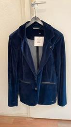 Mooie suede/fluweel blauwe blazer van Maicazz maat 40, Kleding | Dames, Ophalen of Verzenden, Nieuw, Maat 38/40 (M), Blauw