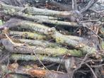 Appelhout, Tuin en Terras, Haardhout, Ophalen of Verzenden, Overige houtsoorten, Blokken