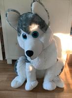 Hele grote husky knuffel, Kinderen en Baby's, Speelgoed | Knuffels en Pluche, Ophalen, Zo goed als nieuw, Hond