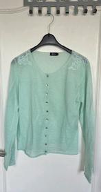 Leon vest met kid mohair doorschijnend mint groen maat L, Kleding | Dames, Maat 38/40 (M), Leon, Ophalen of Verzenden, Zo goed als nieuw
