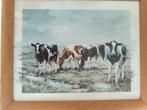Koeien zwart - roodbonte Schilderij Hub Peters, Minder dan 50 cm, Ophalen of Verzenden, Zo goed als nieuw, Schilderij