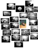 35mm film - Cartoon - Popeye - Hillbilly Cooing 1933, Audio, Tv en Foto, Filmrollen, Ophalen of Verzenden, 35mm film