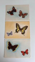 3 kaarten met afbeelding vlinders. 1962, Ophalen of Verzenden, 1960 tot 1980, Overige thema's