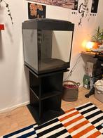 Aquarium, Dieren en Toebehoren, Vissen | Aquaria en Toebehoren, Ophalen, Leeg aquarium