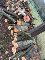 Hout te koop - Stammen en takken, Tuin en Terras, Haardhout, Minder dan 3 m³, Ophalen, Overige houtsoorten, Stammen