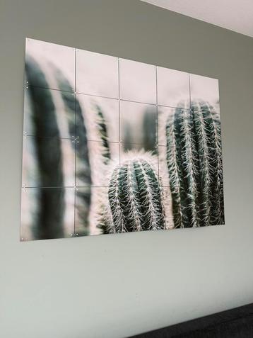 IXXI cactus & leaves dubbelzijdig beschikbaar voor biedingen