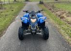 Quad Polaris Phoenix 50 Jaar Editie - Autokenteken, 200 cc, 1 cilinder, 12 t/m 35 kW