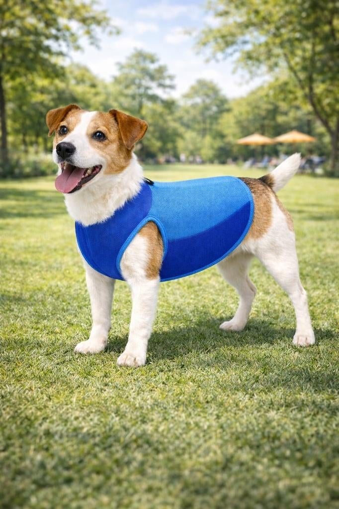 Partij huisdierproducten koelvesten voor honden maat S, Dieren en Toebehoren, Honden-accessoires, NHP International, Sales@nhp-international.com