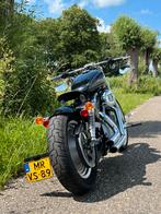 Harley Davidson sportster 883 custom, 2 cilinders, Chopper, 883 cc, Particulier