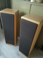 Translator Morganiet luidsprekers, Gebruikt, 120 watt of meer, Front, Rear of Stereo speakers, Ophalen