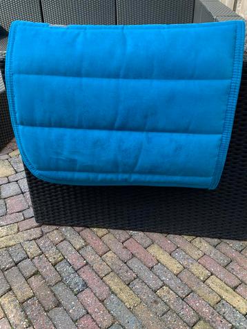 Blauw QHP dekje pony  beschikbaar voor biedingen
