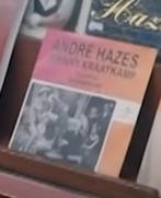 Gezocht : Andre hazes-droomschip, Ophalen of Verzenden, Zo goed als nieuw, Overige formaten, Levenslied of Smartlap
